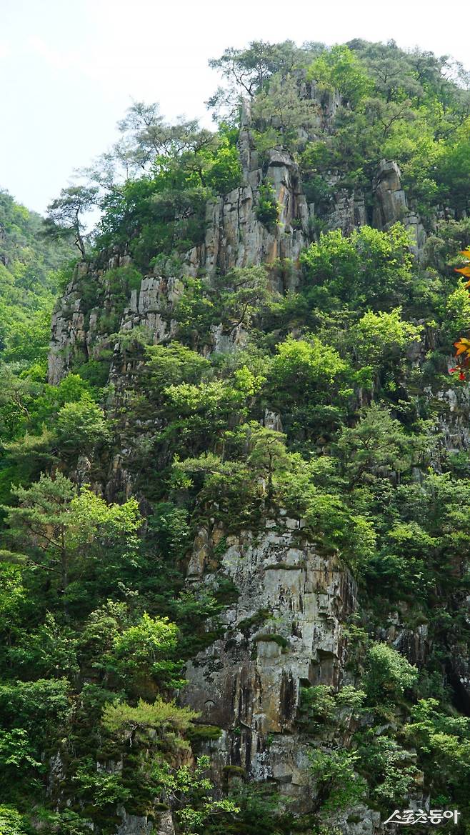 쌍곡구곡 중 가장 아름다운 절경으로 꼽히는 군자산. ‘충북의 소금강’이란 찬사답게  기기묘묘한 바위와 절벽의 자태가 아름다움을 넘어 신비로울 정도다     괴산｜김재범 기자 oldfield@donga.com