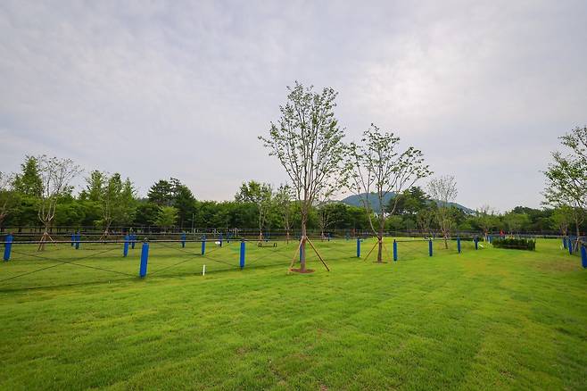 청계산 수변공원 파크골프장 전경 [서초구 제공. 재판매 및 DB 금지]