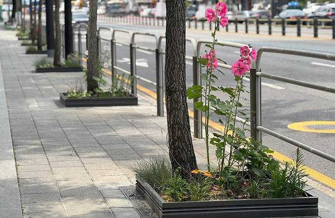 서대문구가 통일로 변 가로수 길에 조성한 '한뼘정원' [서대문구 제공. 재판매 및 DB 금지]