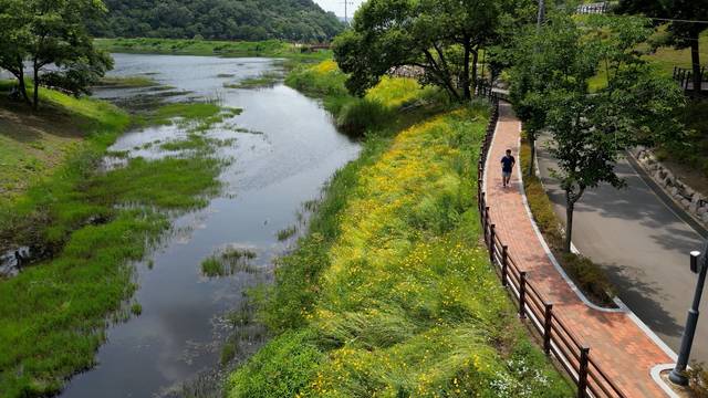 이정웅 전 대구시녹지과장은 서리지 수변생태공원에 계절별로 꽃을 볼 수 있는 나무들을 더 심으면 하는 견해를 갖고 있다. 서리지 영상 캡처.