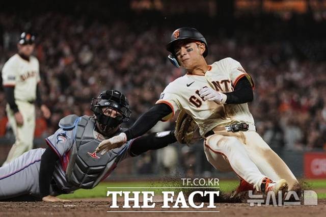 이정후가 26일(한국시간) 마이애미전에서 9회말 패트릭 베일리의 좌전 안타 때 홈으로 질주했지만 아슬아슬하게 아웃되고 있다. 마이애미 포수는 닉 포르테스. /샌프란시스코=AP.뉴시스