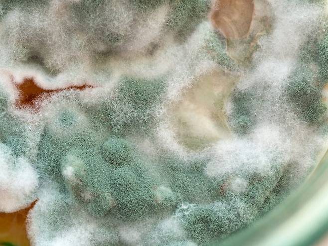 사진=게티이미지코리아.