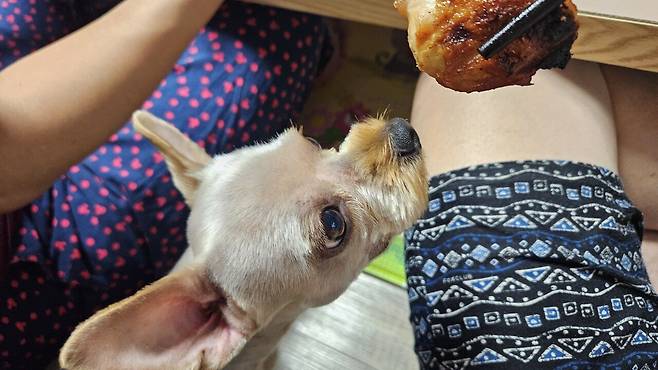 20250625_184754.jpg 저녁 숯불바베큐 치킨에 한잔