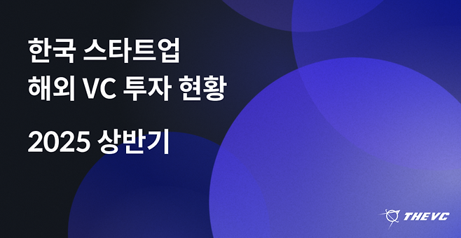 2025년 상반기 한국 스타트업 해외 벤처캐피탈(VC) 투자 현황. 더브이씨 제공