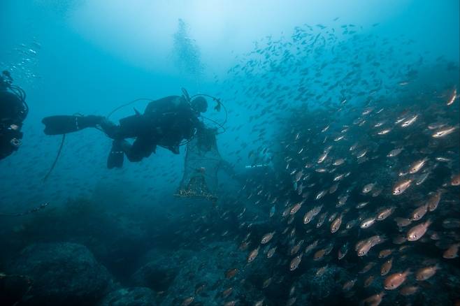 ���� 14�� �︪�� �︷ �α� �ٴٿ��� ���������ȸ ȸ������ ���� �����ϴ� ��� �ڸ��� ���� �������� �ִ�. ���������ȸ ����