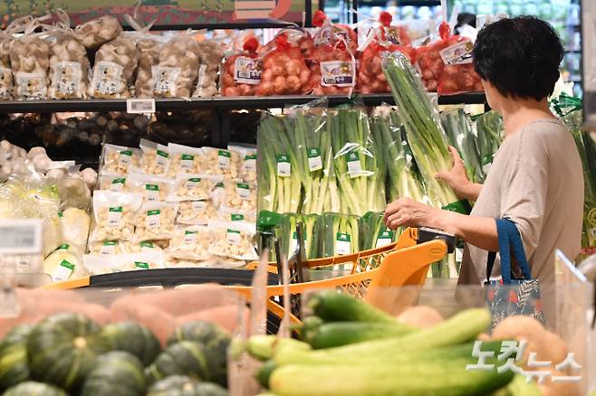 서울의 한 대형마트를 찾은 시민들이 장을 보고 있다. 류영주 기자