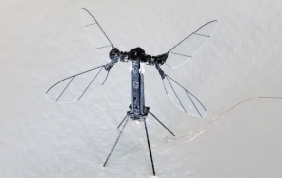 중국 연구진이 모기의 몸집과 외형을 꼭 닮은 초소형 정찰 드론을 공개했다. 중국 국방과학기술대학(NUDT) 제공