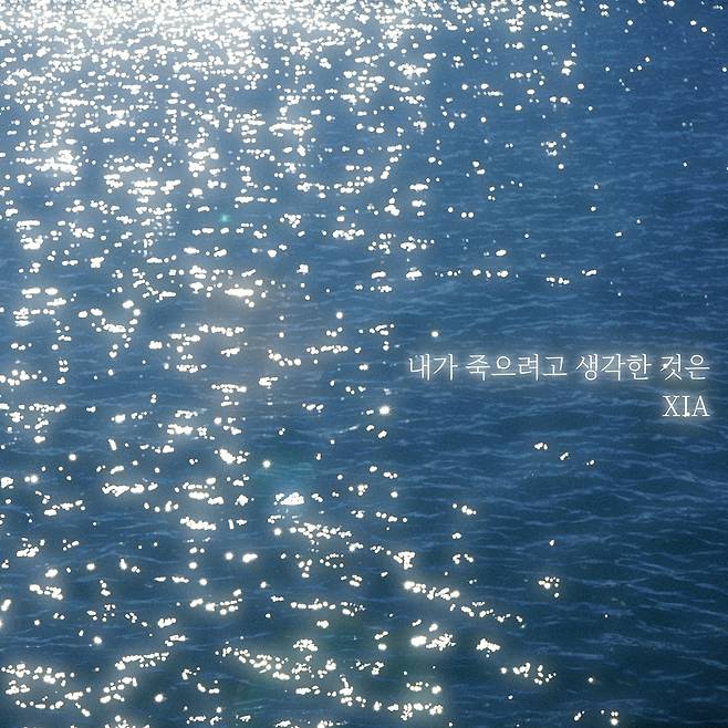 프로젝트 리본 제공