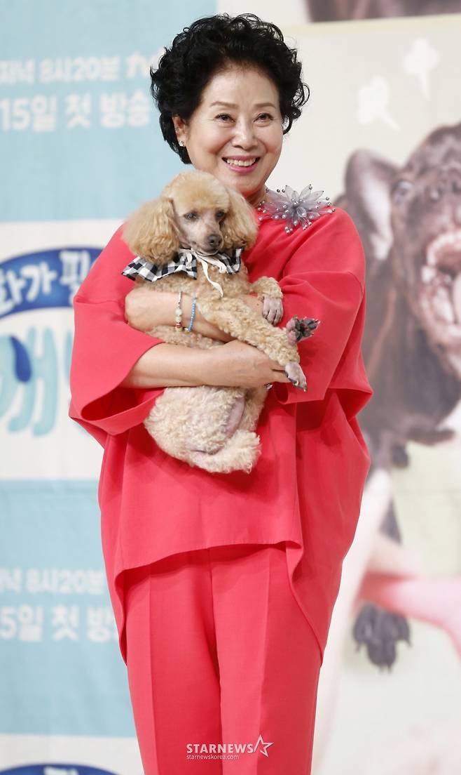 배우 선우용여  /사진=김휘선 기자 hwijpg@