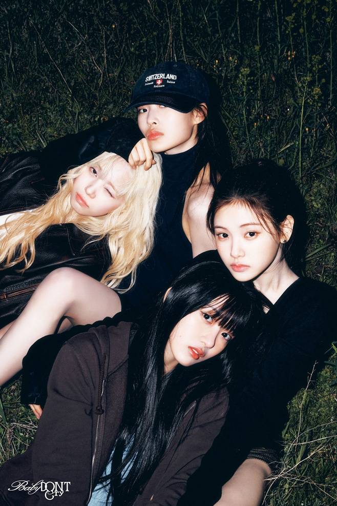 티브이데일리 포토
