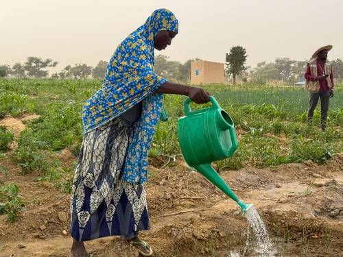 니제르 마라디 내 마다룬파 지역의 상품작물 재배 공동농장 [유엔난민기구 제공. 재판매 및 DB 금지]