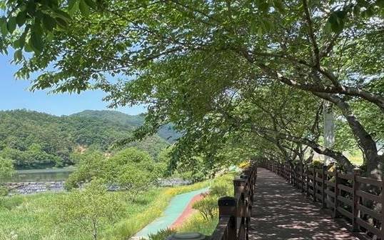 탐진강 생태탐방로 [전남 장흥군 제공]