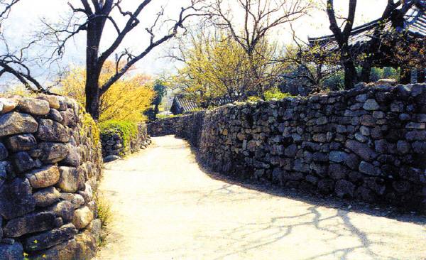 군위 돌담마을.