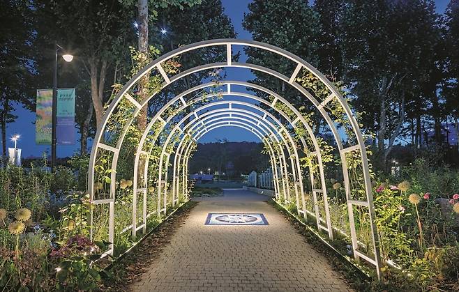 디올이 최근 서울시와 함께 '2025 서울국제정원박람회'가 열리는 보라매공원에 조성한 '디올 정원'. 조경가 정영선이 설립한 조경설계 서안에서 디자인을 맡았다. 200m 길이로 뻗은 울창한 플라타너스 나무가 드리워진 공간에 한국 토착 식물이 조성됐다. 박람회는 10월 20일까지. ⓒKYUNGSUB SHIN /디올 제공