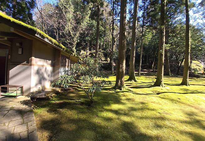 20250121_122236.jpg 일본 랜트카 여행 59일 36일차 후쿠이