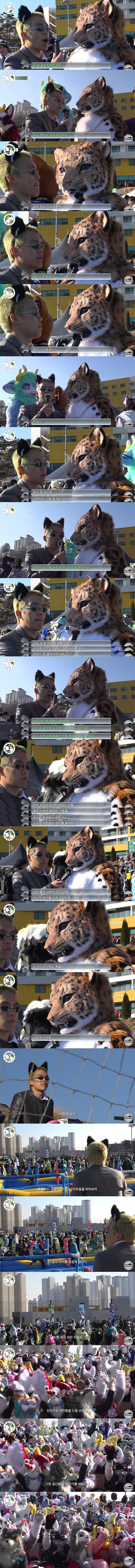 image.png 한국에서 열린 동물 인형 옷 퍼리 조아 행사 ㅎㄷㄷ.JPEG