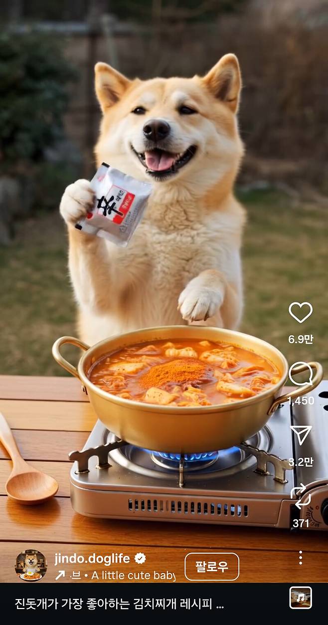 인스타그램 계정에 등장한 ‘요리하는 진돗개’. 영상 20개만으로 3만4천명의 팔로어를 확보하는 등 인기몰이 중이다. 장선희 제공
