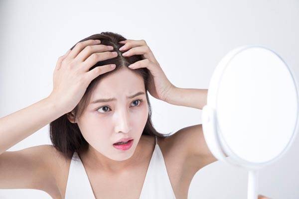 클립아트코리아