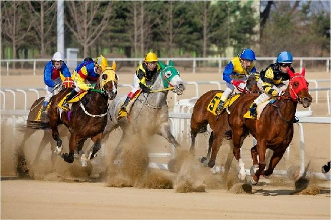 한국마사회 경마 장면. 연합뉴스