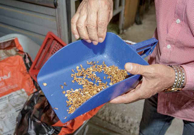 영양 균형을 고려해 선택한 말 전용 사료.