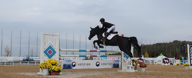 상주시가 승마 인프라와 역사적 자산을 활용해 지역경제 활성화와 새로운 성장 동력을 확보하기 위해 노력 중이다. 샫주시 제공
