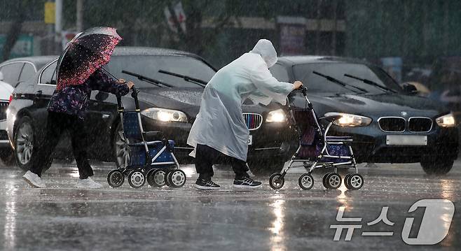 자료사진/뉴스1