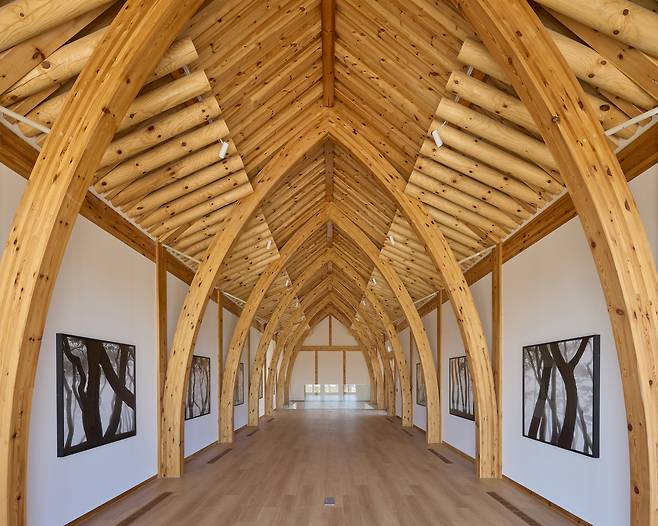 오스트리아산 집성목으로 아치 기둥을 만들어 고딕 성당 내부 분위기 나는 '명상의 집' 한옥. /대추밭백한의원