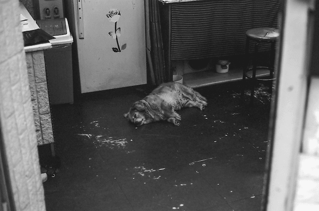 7ded8071bc846cf43eef87e758c12a3a52321c0bb591928cc86401b908