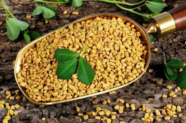 사진=클립아트코리아