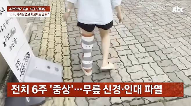 카센터에서 대형견에게 물린 피해자는 전치 6주 진단을 받았다. /사진=JTBC '사건반장' 방송 화면