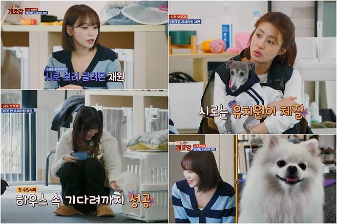 JTBC