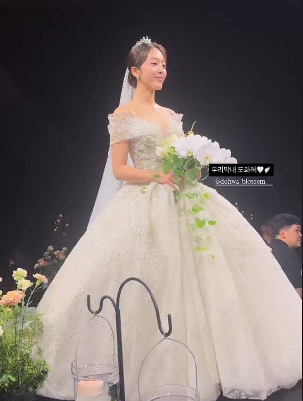 티브이데일리 포토