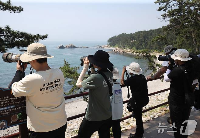 29일 울산 동구 대왕암 일대에서 짹짹휴게소 동호회 회원들이 카메라로 조류를 관찰하고 있다.2025.6.29/뉴스1 ⓒNews1 김지혜 기자