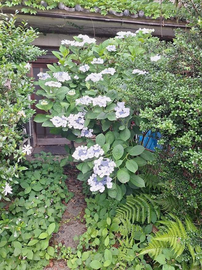 7fed8273b5846af451ee86e5428570733ba8cc24ecaa53f5e81c9b9445cbde30