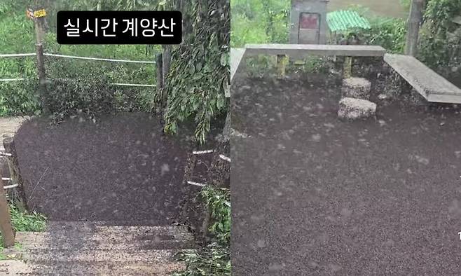 인스타그램 갈무리(@kimlark34)