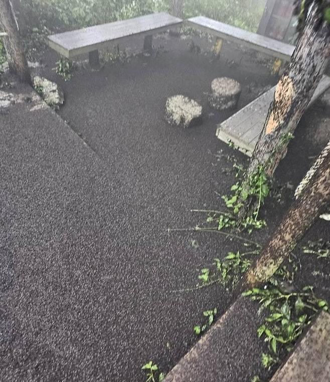 네이버 블로그 갈무리(@oligoenergy)