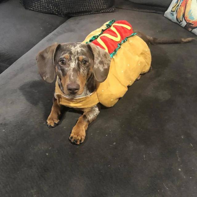 듀크는 1심 재판에서 디블레이스 씨 가족의 직계 가족으로 인정받았지만, 아직 항소심 절차가 남아 있는 상태다. 트레버 디블레이스 인스타그램