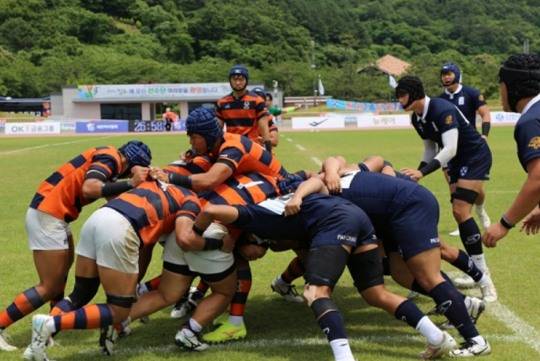 럭비 경기 모습 [대한럭비협회 제공]