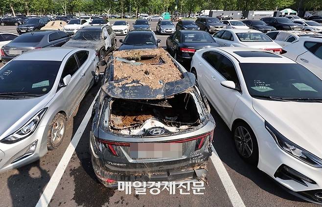 지난 2022년 8월 12일 경기 과천시 서울대공원 주차장에 침수 차량이 집결해 있다. 2022.8.12 [사진촬영=한주형 기자]