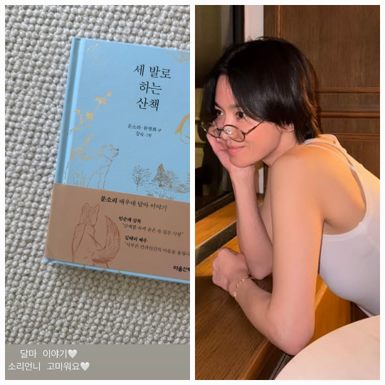 송혜교가 28일 문소리의 저서 『세 발로 하는 산책』을 받은 사실을 SNS로 공유하며 따뜻한 감동을 전했다.사진=송혜교 sns
