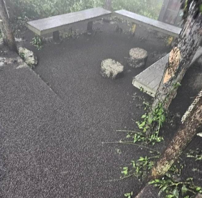 /사진=SNS 갈무리