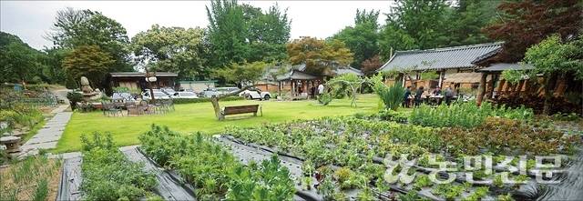 쌈채소가 심긴 텃밭 너머로 고즈넉한 한옥이 자리한 경기 남양주 숙소 수안채.