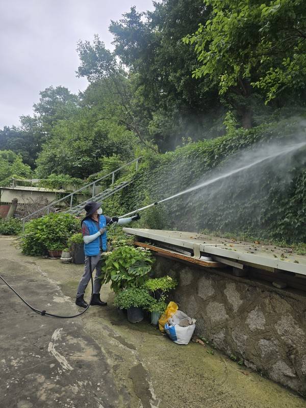 연수구 보건소가 러브버그 방제작업을 펴고 있다. 2025.6.30. [사진=연수구청]