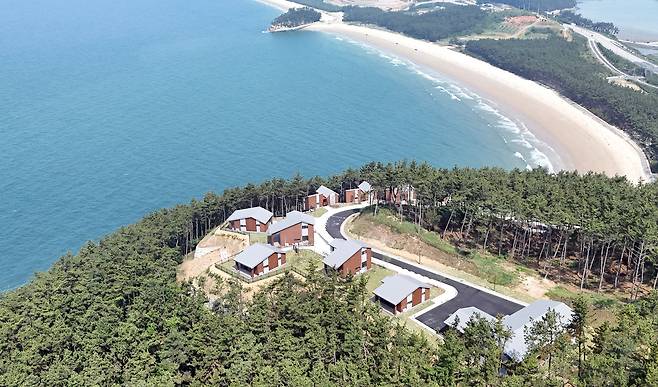 보령 원산도 자연휴양림 [충남도 제공. 재판매 및 DB 금지]