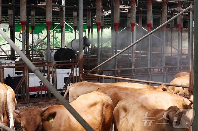 폭염 특보가 내려진 30일 광주 북구청 동물정책팀 직원들이 충효동의 한 축사에서 온도를 낮추기 위해 물을 뿌리고 있다.(광주 북구 제공. 재판매 및 DB 금지) 2025.6.30/뉴스1