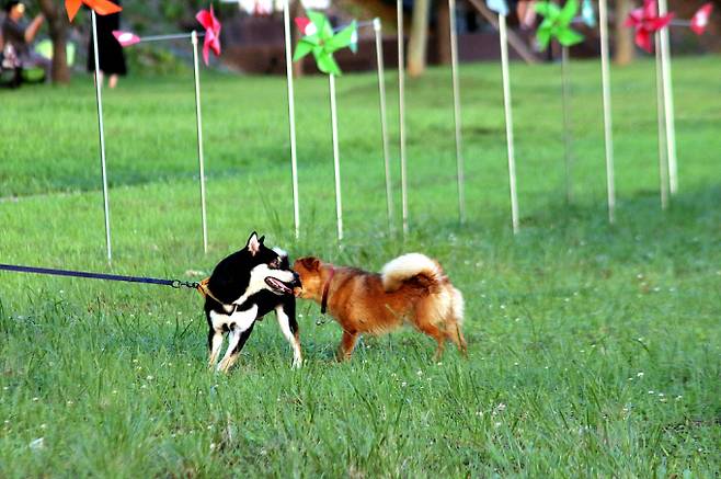 전국 무더위 속 곳곳 소나기...낮 최고 35도[오늘날씨]= 월요일인 오늘(30일) 날씨는 중부지방은 대체로 흐리겠고, 남부지방과 제주도는 가끔 구름 많겠고, 곳에 따라 소나기가 내리겠다. 오늘날씨, 내일날씨, 주간날씨 예보 ⓒbnt뉴스