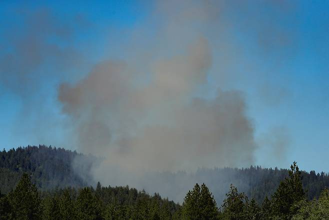 산불 발생 현장에서 검은 연기가 피어오르고 있다. /로이터 연합뉴스