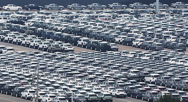 6월 13일 경기 평택시 포승읍 평택항 자동차전용부두에 수출용 차량들이 세워져 있다. /뉴스1