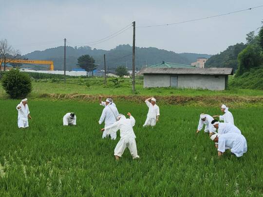 사진=충주시 제공