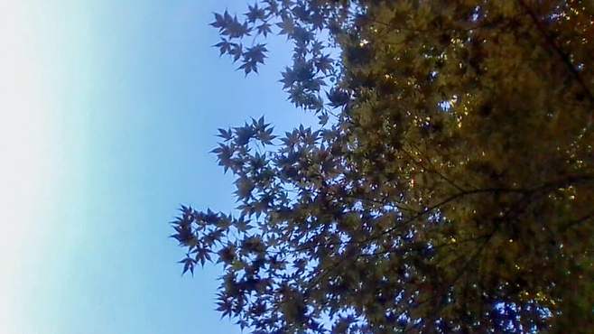 1a94fe19b7826af33ee985e529807202797a367c6e6010050f812eaa794be91e18811a4b779c5671fa